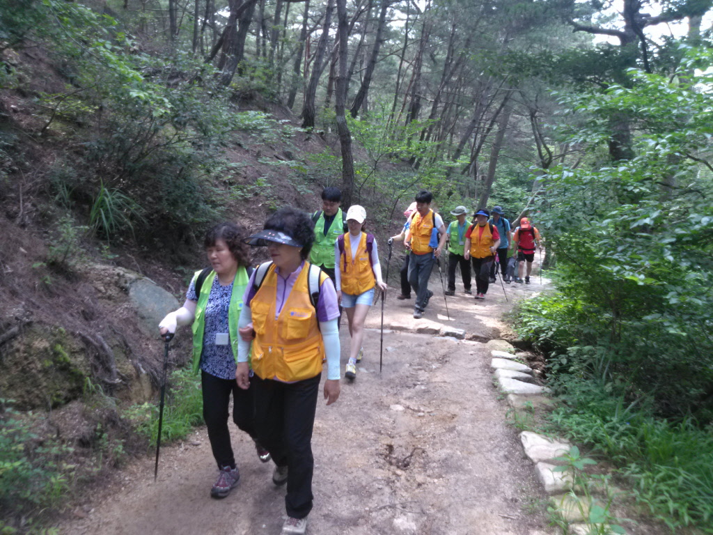 2012년 7월 21일(토) 동구 염포산, 동축산, 마골산 산행기1