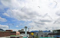 비문증일 때 보이는 예시 사진